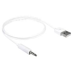DeLOCK 1m Charging Data Cable - Fast, Reliable & Durable Connection (4043619831821)
